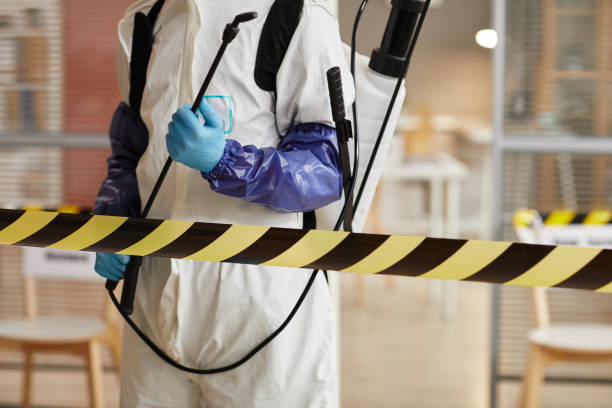 Professional Sewage Cleanup technician working in Warren, NH